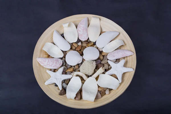 Wooden plate with shells and stones — Stock Photo, Image