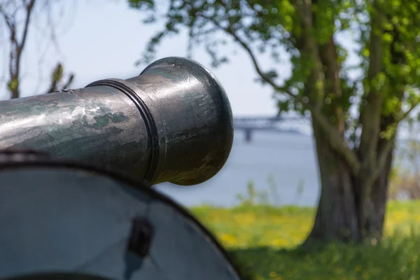 Old cannon on green grass — Stock Photo, Image