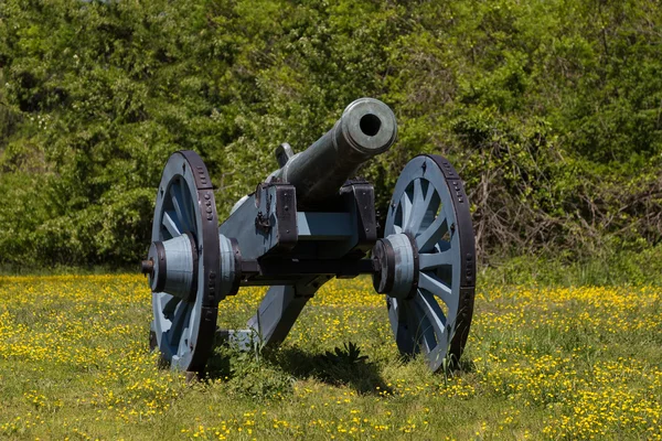 Old cannon on green grass — Stock Photo, Image