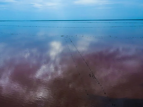 Vue Aérienne Depuis Drone Sur Lac Rose Plein Air — Photo