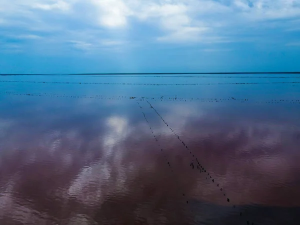 Vue Aérienne Depuis Drone Sur Lac Rose Plein Air — Photo