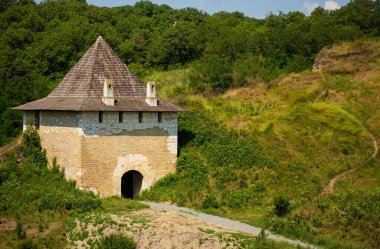 Yazın yeşil bir tarlanın arka planına karşı eski bir ortaçağ şatosu