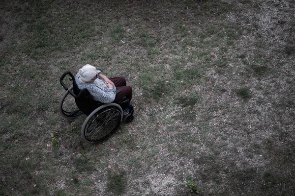 Tekerlekli sandalyede oturan yaşlı bir kadın çimlerin arkasında — Stok fotoğraf