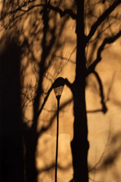 Árnyék egy fáról és egy lámpás a falon napközben — Stock Fotó