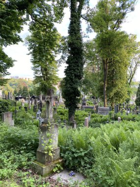 Lviv, Ukrayna 05.26.2022 - Lviv 'deki Lychakivske mezarlığı. Yüksek kalite fotoğraf