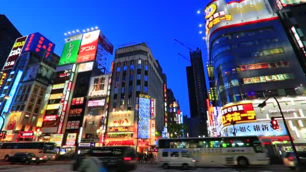 Shinjyuku, Tokyo, Japan — стоковое видео