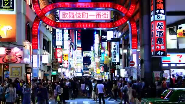 Shinjyuku, tokyo, Japonya — Stok video