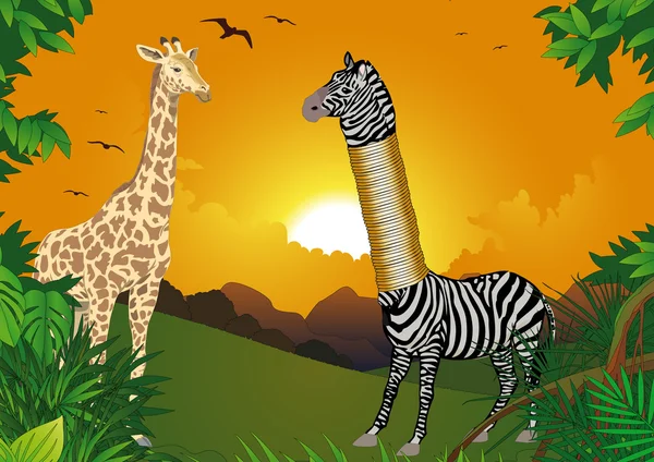 Zebra who wanted to be higher — Stock Photo, Image
