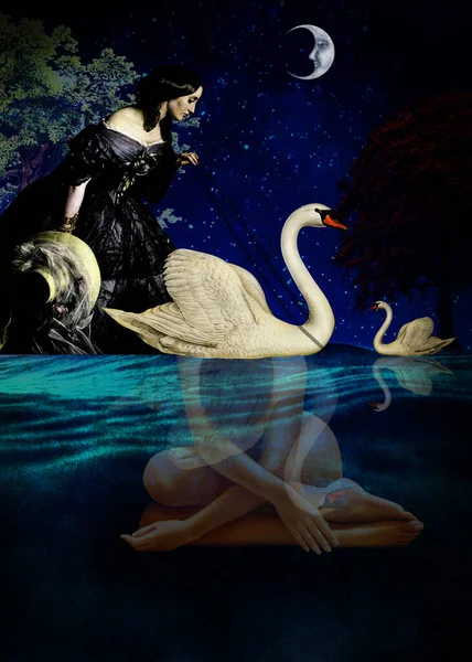 Evlatlık bir evcil hayvana akşam ziyareti