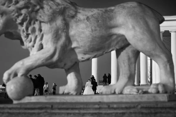 Boda en la ciudad antigua — Foto de Stock