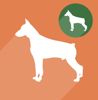 Doberman köpek siluet
