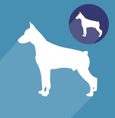 Doberman köpek siluet