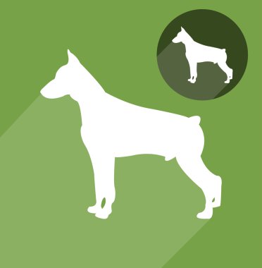 Doberman köpek siluet