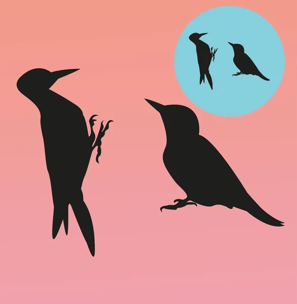 Woodpeckers silhouettes — Stock Vector