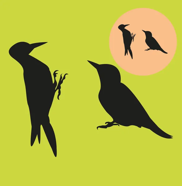 Woodpeckers silhouettes — Stock Vector