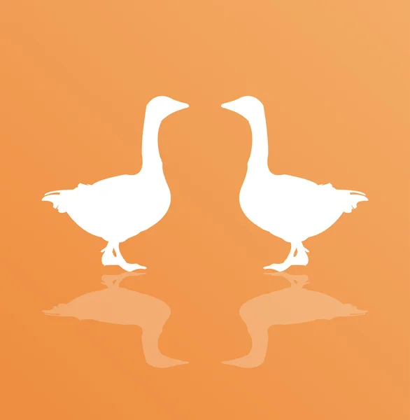 Geese silhouettes — Stock Vector