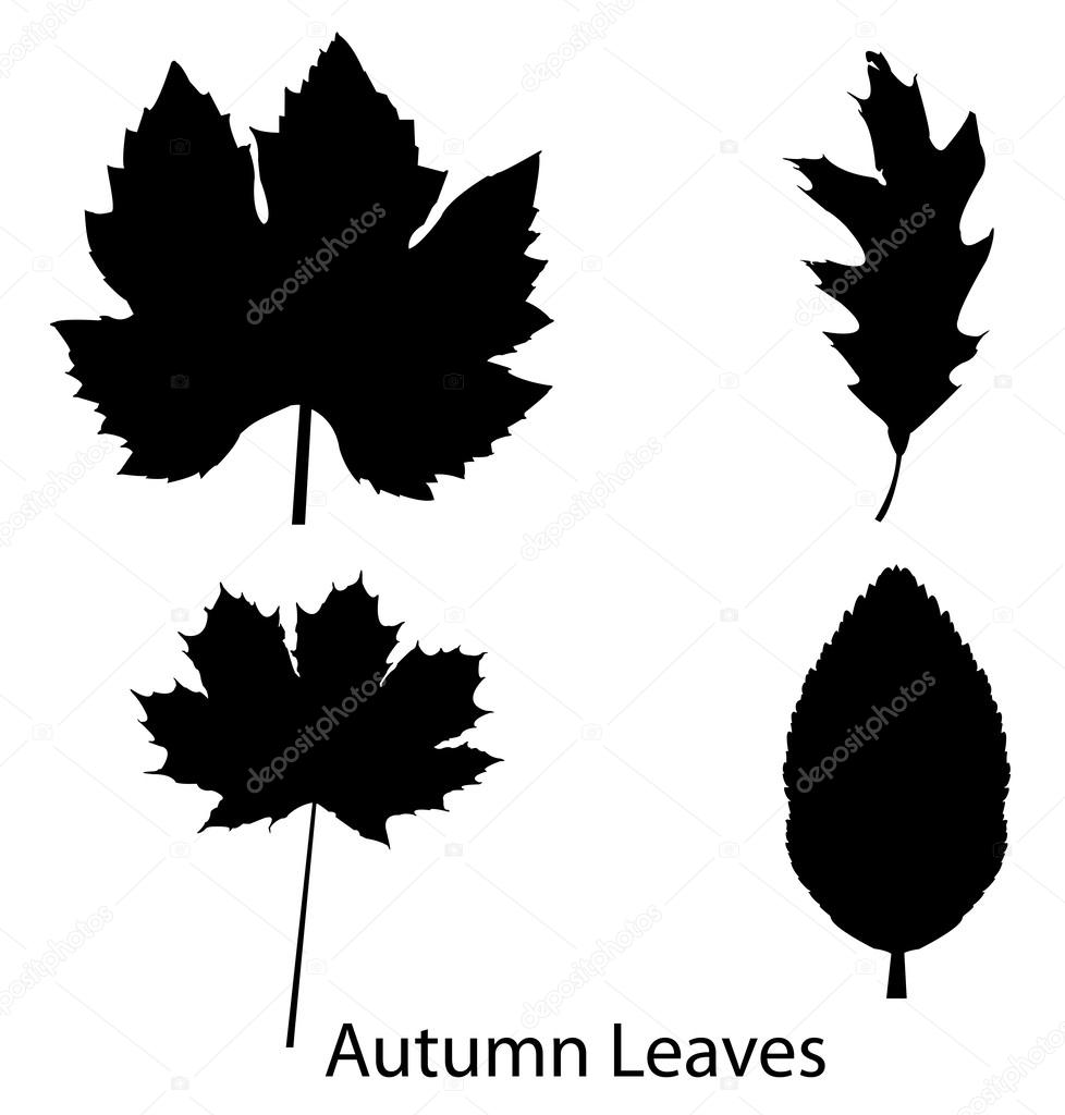 Leaf silhouettes