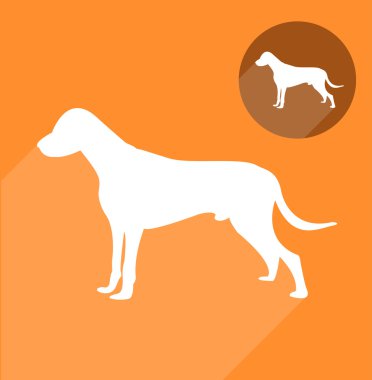 Köpek Silueti