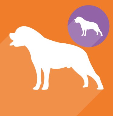 Köpek Silueti