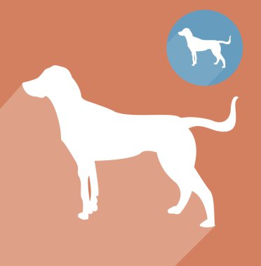 av köpeği silueti