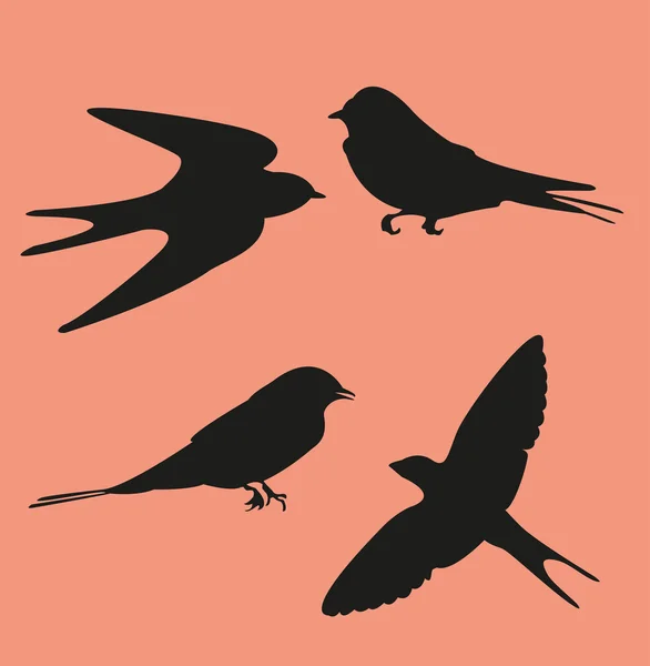 Sílhueta de aves — Vetor de Stock