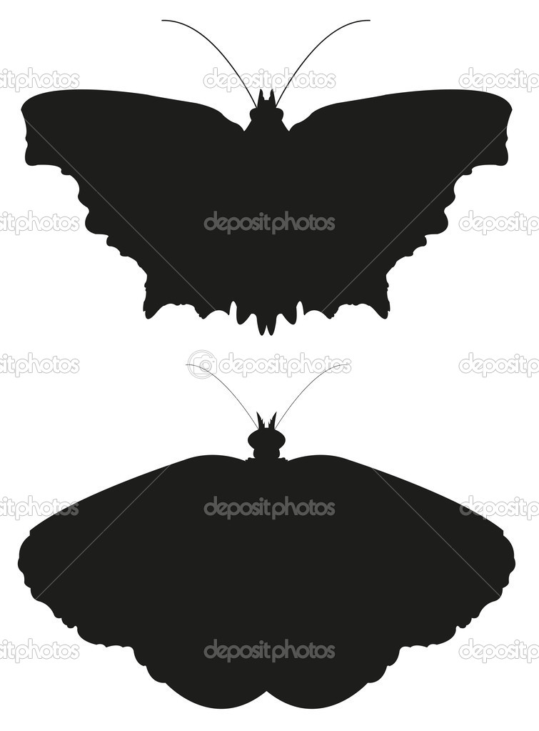 Butterflies collection silhouette