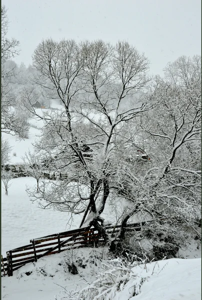 Landschap in de winter — Stockfoto