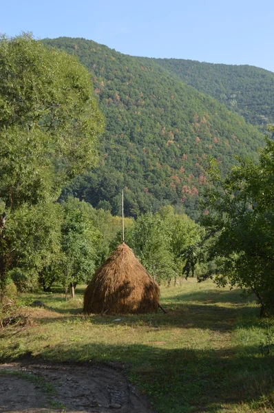 Pile di paglia — Foto Stock