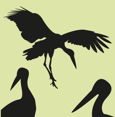 stork ilustration