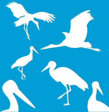 stork ilustration