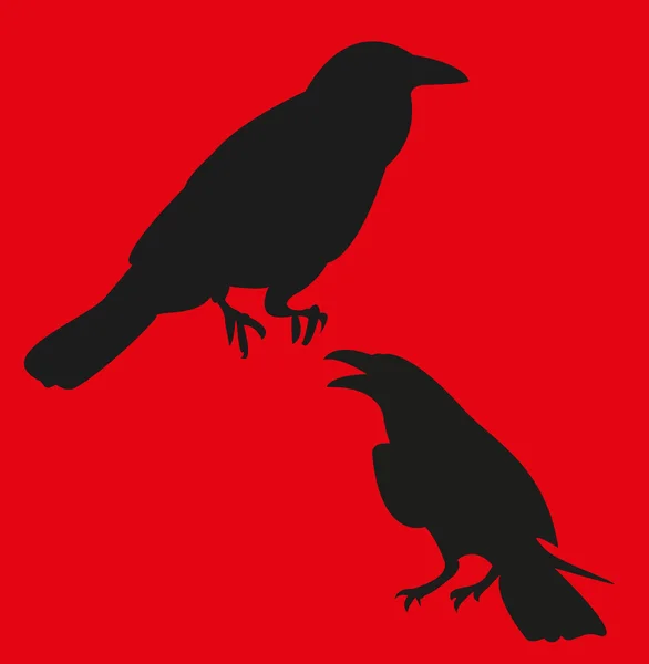 Raven Ilustration — Stockvector