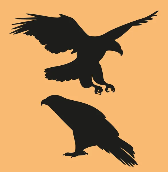 Falcon Ilustration — Stock Vector