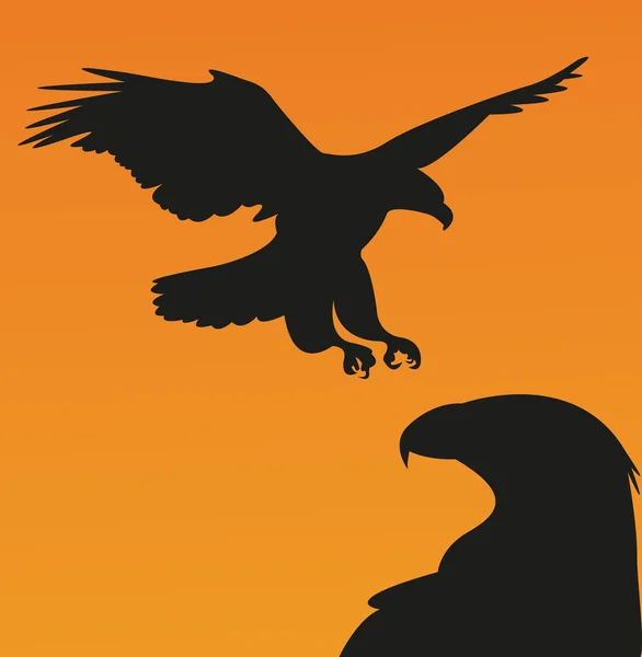 Falcon Ilustration — Stock Vector