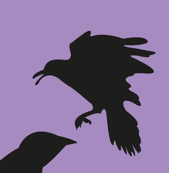 Jackdaw ilustrazione — Vettoriale Stock