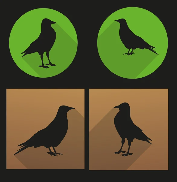 Ilustração Jackdaw — Vetor de Stock