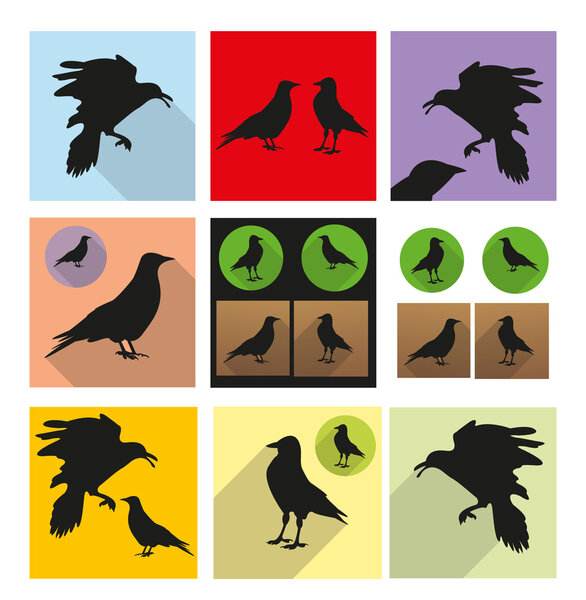 Jackdaw icon set