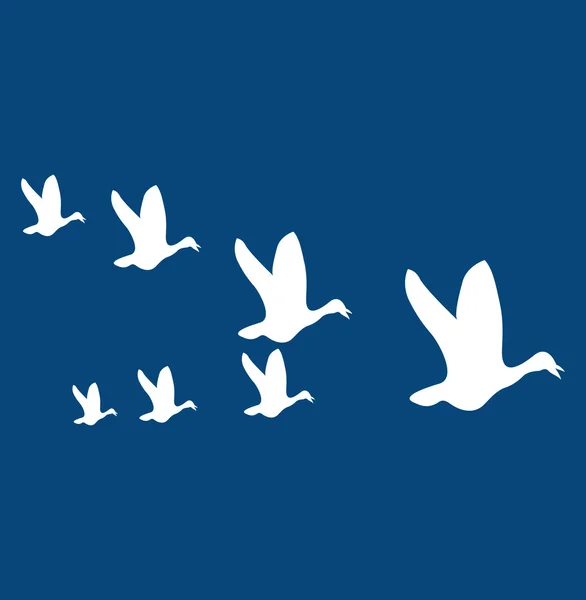 Flygande fåglar — Stock vektor