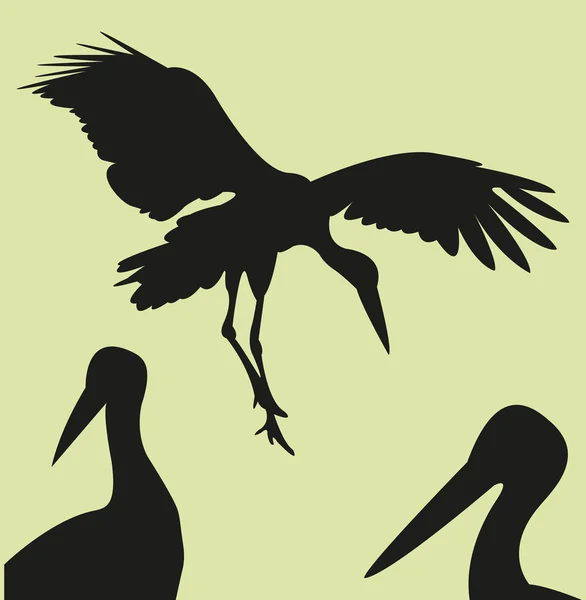stork ilustration