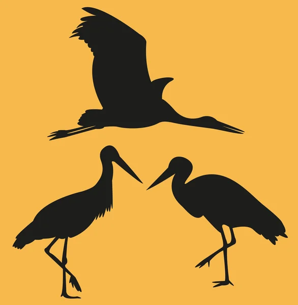 Ilustration av stork — Stock vektor