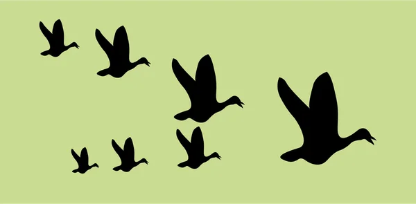 Flying birds Royalty Free Stock Illustrations