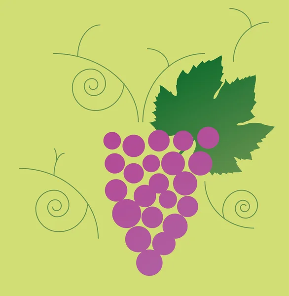 Ilustration du raisin — Image vectorielle
