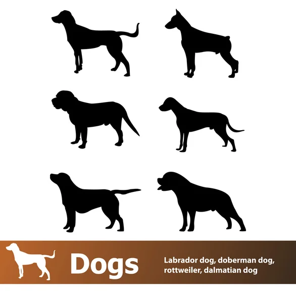 Dogs on white — Stock Vector