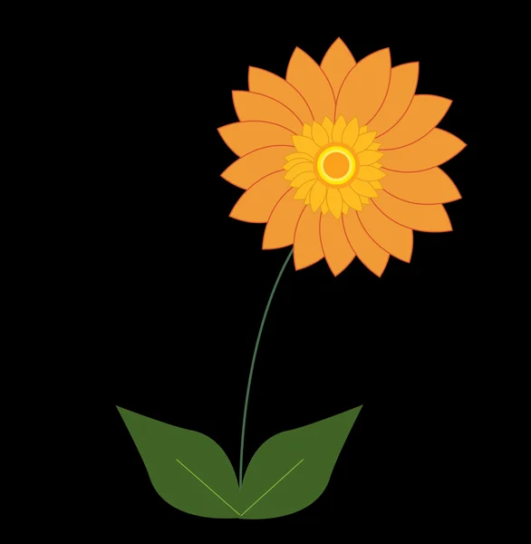 Siyah Arka Planda Güzel Bir Çiçek — Stok Vektör