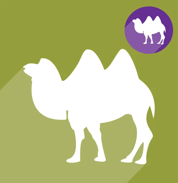 Camel silhouette — Stock Vector