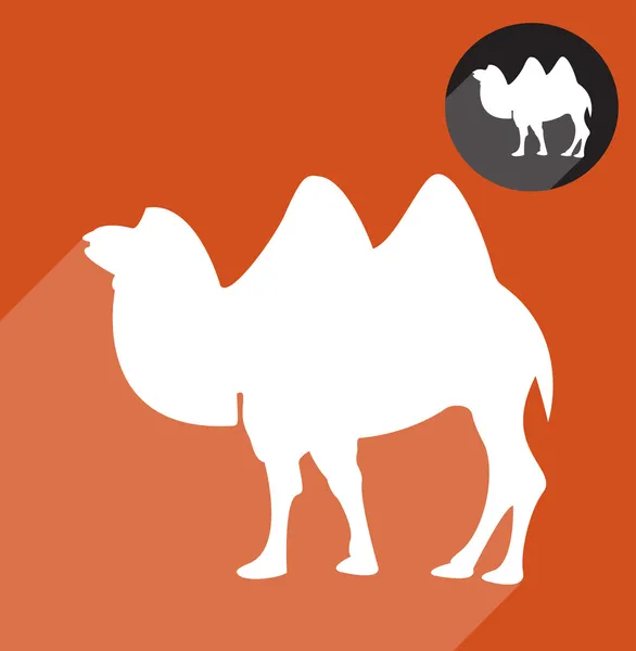 Camel silhouette — Vector de stoc