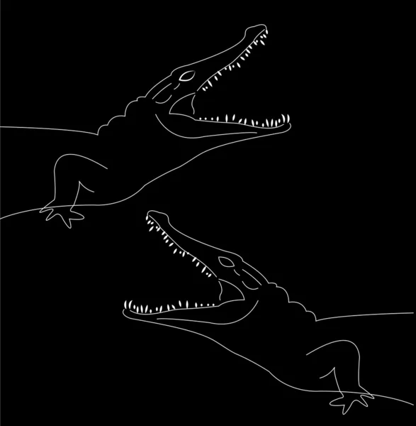 Têtes de crocodile — Image vectorielle