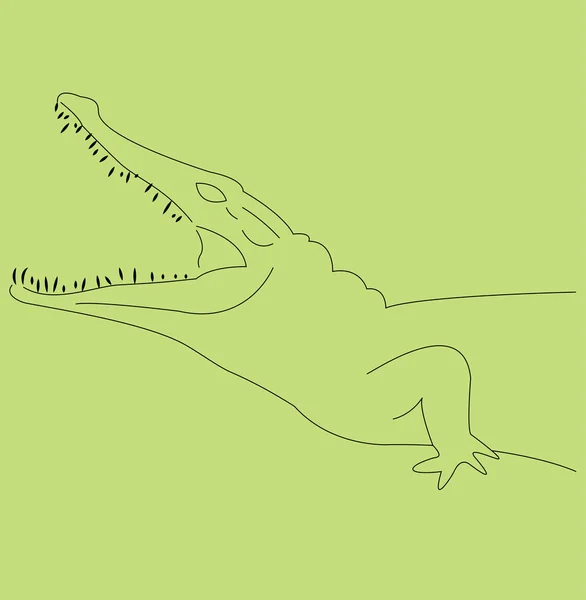 Tête de crocodile — Image vectorielle