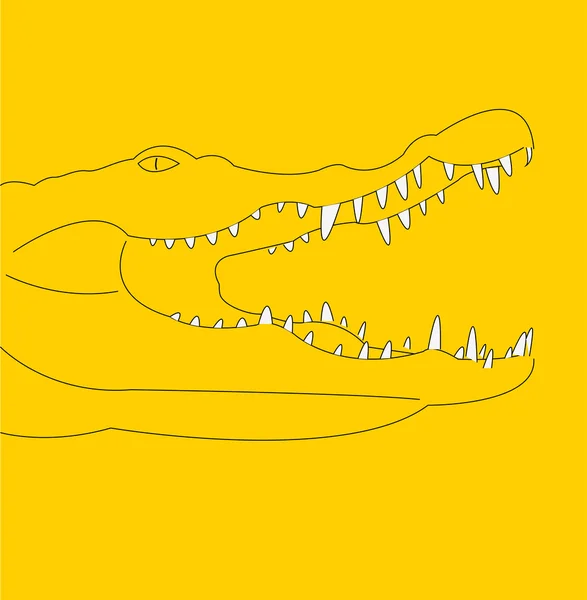 Tête de crocodile — Image vectorielle