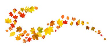 Sarı ve kırmızı yapraklı güzel sonbahar arkaplanı.