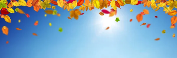 黄色と赤の葉で美しい秋の背景 — ストック写真